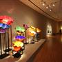 Oklahoma City Museum of Art