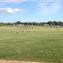 Lightning Creek Park