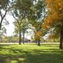Benson Park Pecans