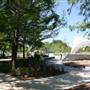 Myriad Botanical Gardens