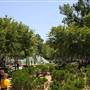 Myriad Botanical Gardens