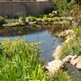 Linnaeus Garden