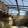 Silvertop Farm & Vineyards
