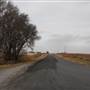 Woodward Intersection N1900 RD & E0390 RD