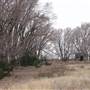 Nightmare in the Country - Kenton Ranch