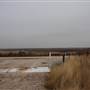 Woodward - Energy Field