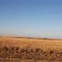 McBee Ranch
