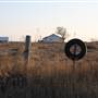 McBee Ranch