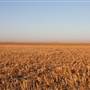 McBee Ranch