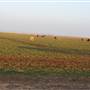 Hwy 412/36 - Guymon Area