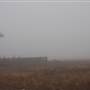 Windmill Landscape - Near Guymon