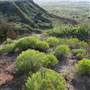 Gloss Mountains