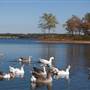 Grand Lake