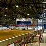 Lazy E Arena