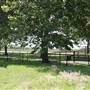 NFL Farms
