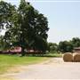 NFL Farms