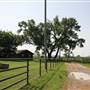 NFL Farms