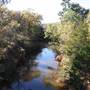 Martin Nature Park