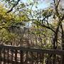 Martin Nature Park