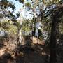 Martin Nature Park
