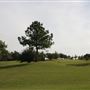 The Greens Country Club