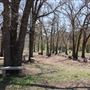 Camp Y'shua