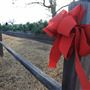 Fort Washita