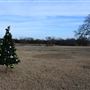 Fort Washita