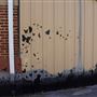 Durant Murals