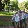Southeastern Oklahoma State University