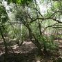 Stinchcomb Wildlife Refuge