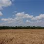 Stinchcomb Wildlife Refuge