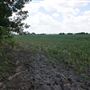 Stinchcomb Wildlife Refuge