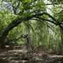 Stinchcomb Wildlife Refuge