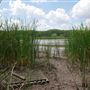 Stinchcomb Wildlife Refuge