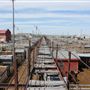 Oklahoma National Stockyard Exchange