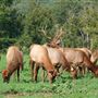 Hunt Mill Hollow Ranch