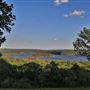 Timberline Drive Landscape