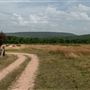 Bunch Rd Pasture