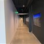 Studio D - Knox Studios