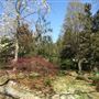 Lendonwood Gardens