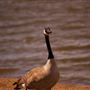 Lake El Reno
