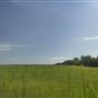 Rydell Ranch