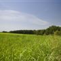 Rydell Ranch