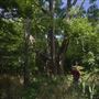 Rydell Ranch