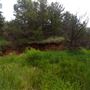 Rydell Ranch