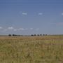 Rydell Ranch