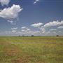 Rydell Ranch