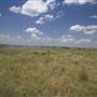 Rydell Ranch