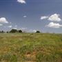 Rydell Ranch